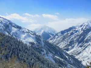 Aspen County